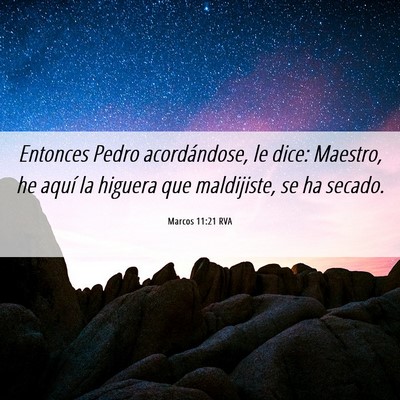 Picture 06 - Marcos 11:21 RVA - Entonces Pedro acordándose, le dice: Maestro, he - Bible Verse Picture
