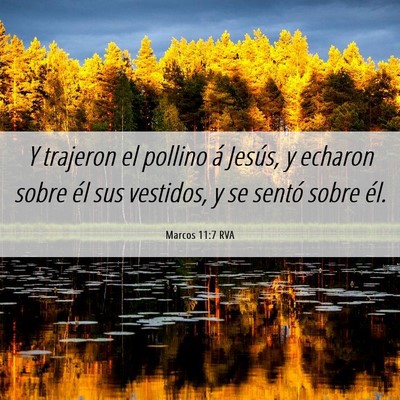 Picture 06 - Marcos 11:7 RVA - Y trajeron el pollino á Jesús, y echaron sobre - Bible Verse Picture