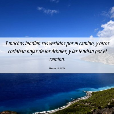 Picture 06 - Marcos 11:8 RVA - Y muchos tendían sus vestidos por el camino, y - Bible Verse Picture