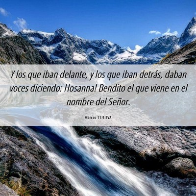 Picture 06 - Marcos 11:9 RVA - Y los que iban delante, y los que iban detrás, - Bible Verse Picture