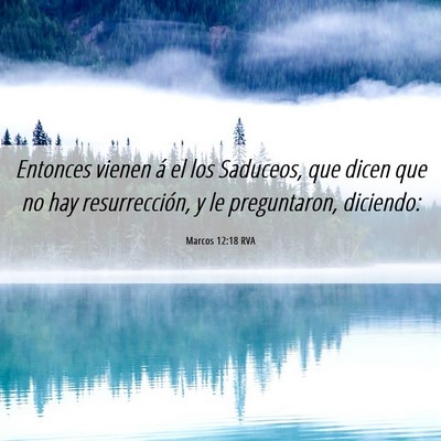 Picture 06 - Marcos 12:18 RVA - Entonces vienen á el los Saduceos, que dicen que - Bible Verse Picture