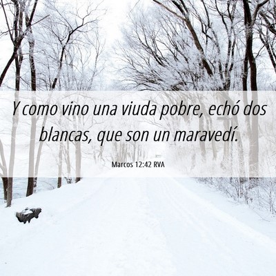 Picture 06 - Marcos 12:42 RVA - Y como vino una viuda pobre, echó dos blancas, - Bible Verse Picture
