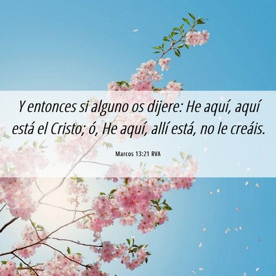 Picture 06 - Marcos 13:21 RVA - Y entonces si alguno os dijere: He aquí, aquí - Bible Verse Picture