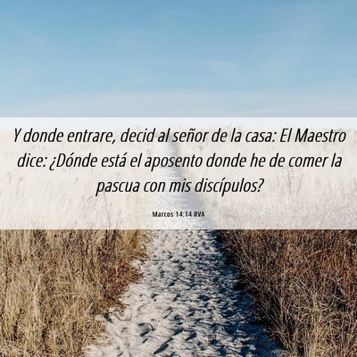 Picture 06 - Marcos 14:14 RVA - Y donde entrare, decid al señor de la casa: El - Bible Verse Picture