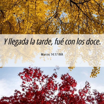 Picture 06 - Marcos 14:17 RVA - Y llegada la tarde, fué con los - Bible Verse Picture