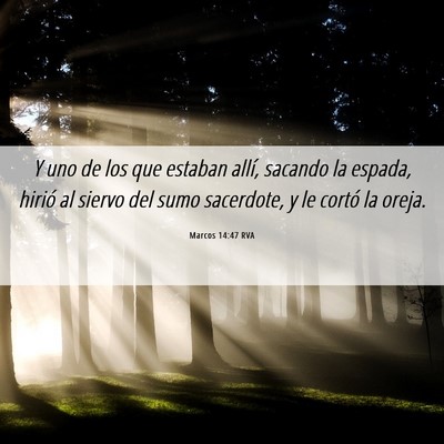 Picture 06 - Marcos 14:47 RVA - Y uno de los que estaban allí, sacando la - Bible Verse Picture