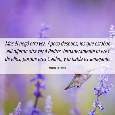 Picture 06 - Marcos 14:70 RVA - Mas él negó otra vez. Y poco después, los que - Bible Verse Picture