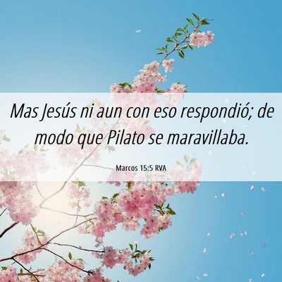 Picture 06 - Marcos 15:5 RVA - Mas Jesús ni aun con eso respondió; de modo que - Bible Verse Picture
