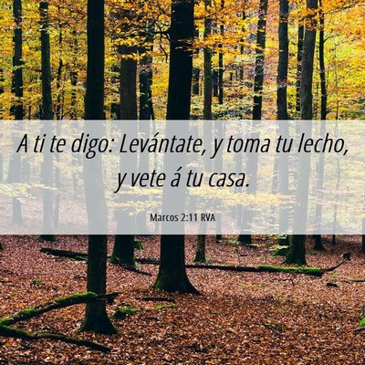 Picture 06 - Marcos 2:11 RVA - A ti te digo: Levántate, y toma tu lecho, y vete - Bible Verse Picture