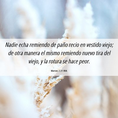 Picture 06 - Marcos 2:21 RVA - Nadie echa remiendo de paño recio en vestido - Bible Verse Picture