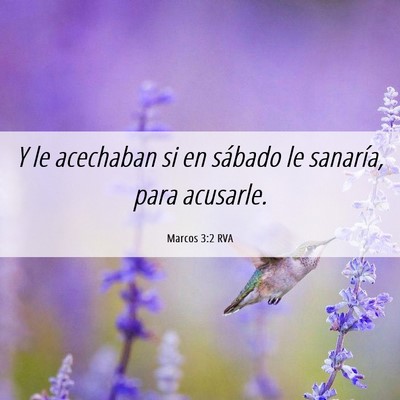 Picture 06 - Marcos 3:2 RVA - Y le acechaban si en sábado le sanaría, para - Bible Verse Picture