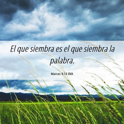 Picture 06 - Marcos 4:14 RVA - El que siembra es el que siembra la - Bible Verse Picture