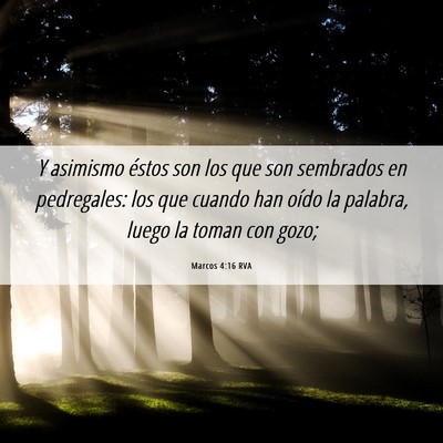 Picture 06 - Marcos 4:16 RVA - Y asimismo éstos son los que son sembrados en - Bible Verse Picture