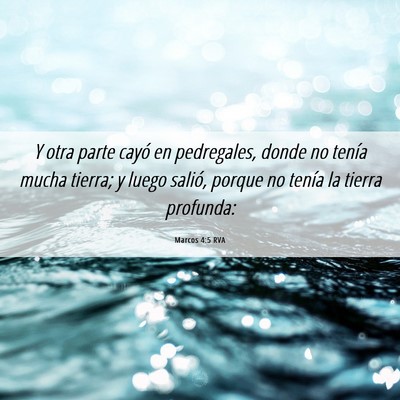 Picture 06 - Marcos 4:5 RVA - Y otra parte cayó en pedregales, donde no tenía - Bible Verse Picture