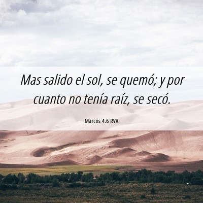 Picture 06 - Marcos 4:6 RVA - Mas salido el sol, se quemó; y por cuanto no - Bible Verse Picture