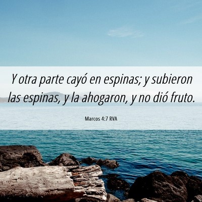 Picture 06 - Marcos 4:7 RVA - Y otra parte cayó en espinas; y subieron las - Bible Verse Picture
