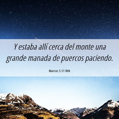 Picture 06 - Marcos 5:11 RVA - Y estaba allí cerca del monte una grande manada - Bible Verse Picture