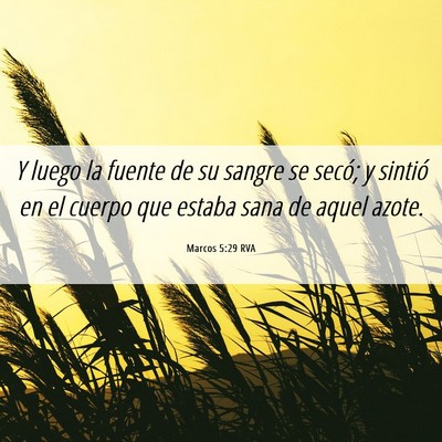 Picture 06 - Marcos 5:29 RVA - Y luego la fuente de su sangre se secó; y - Bible Verse Picture