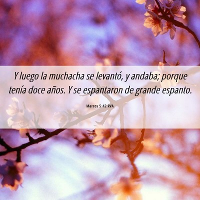 Picture 06 - Marcos 5:42 RVA - Y luego la muchacha se levantó, y andaba; porque - Bible Verse Picture