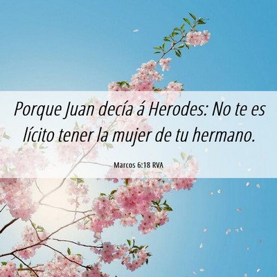 Picture 06 - Marcos 6:18 RVA - Porque Juan decía á Herodes: No te es lícito - Bible Verse Picture