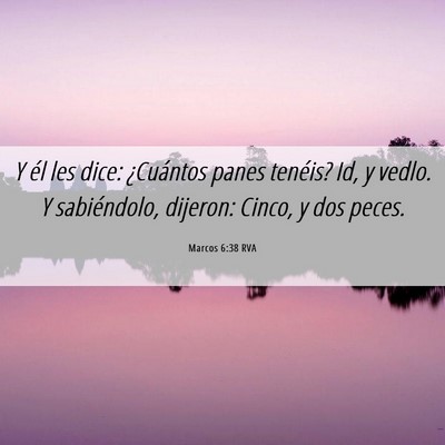 Picture 06 - Marcos 6:38 RVA - Y él les dice: ¿Cuántos panes tenéis? Id, y - Bible Verse Picture