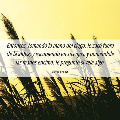 Picture 06 - Marcos 8:23 RVA - Entonces, tomando la mano del ciego, le sacó - Bible Verse Picture