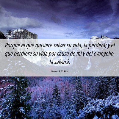 Picture 06 - Marcos 8:35 RVA - Porque el que quisiere salvar su vida, la - Bible Verse Picture
