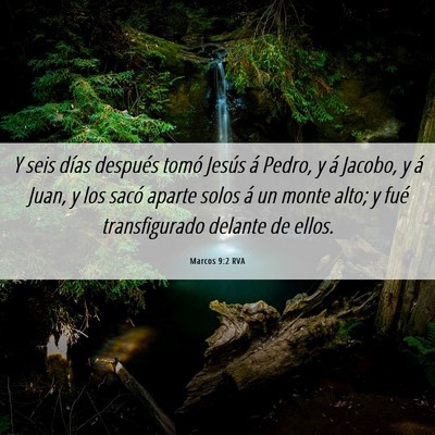 Picture 06 - Marcos 9:2 RVA - Y seis días después tomó Jesús á Pedro, y á - Bible Verse Picture