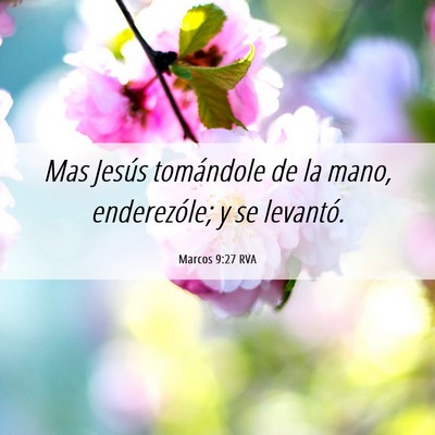 Picture 06 - Marcos 9:27 RVA - Mas Jesús tomándole de la mano, enderezóle; y - Bible Verse Picture