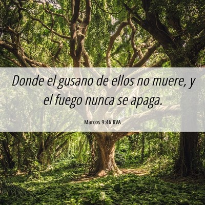 Picture 06 - Marcos 9:46 RVA - Donde el gusano de ellos no muere, y el fuego - Bible Verse Picture