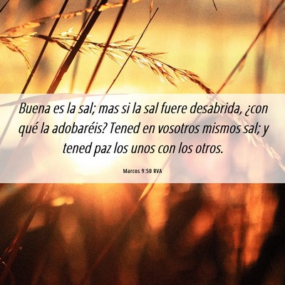Picture 06 - Marcos 9:50 RVA - Buena es la sal; mas si la sal fuere desabrida, - Bible Verse Picture