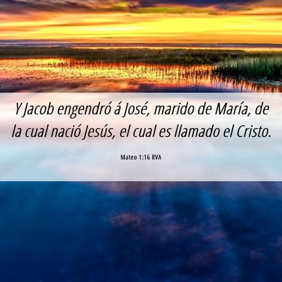 Picture 06 - Mateo 1:16 RVA - Y Jacob engendró á José, marido de María, de - Bible Verse Picture