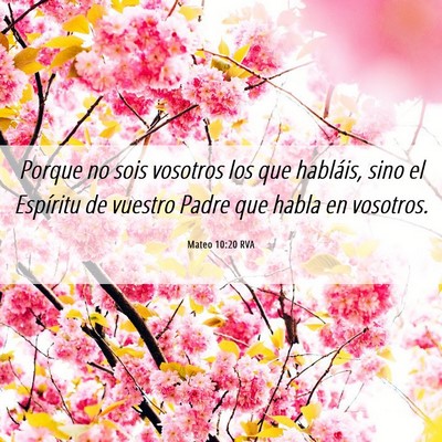 Picture 06 - Mateo 10:20 RVA - Porque no sois vosotros los que habláis, sino el - Bible Verse Picture