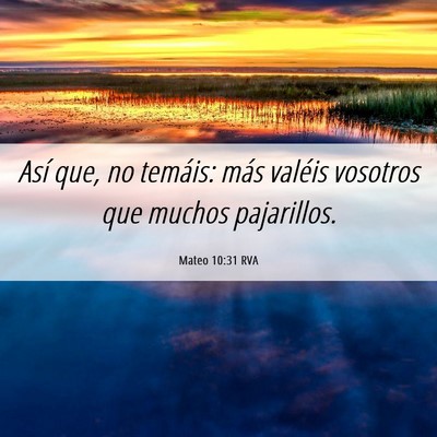 Picture 06 - Mateo 10:31 RVA - Así que, no temáis: más valéis vosotros que - Bible Verse Picture