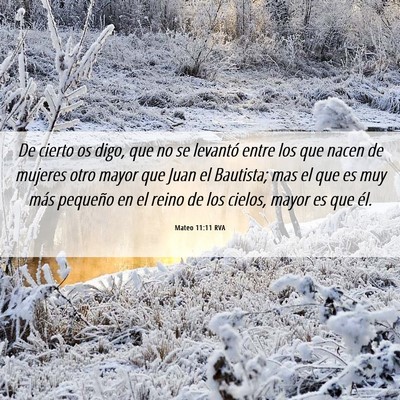 Picture 06 - Mateo 11:11 RVA - De cierto os digo, que no se levantó entre los - Bible Verse Picture