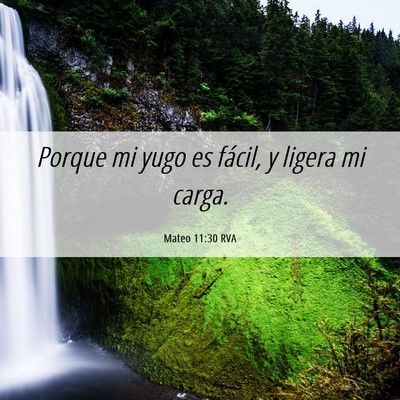 Picture 06 - Mateo 11:30 RVA - Porque mi yugo es fácil, y ligera mi - Bible Verse Picture