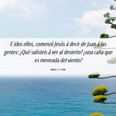 Picture 06 - Mateo 11:7 RVA - E idos ellos, comenzó Jesús á decir de Juan á - Bible Verse Picture