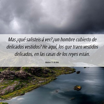 Picture 06 - Mateo 11:8 RVA - Mas ¿qué salisteis á ver? ¿un hombre cubierto - Bible Verse Picture