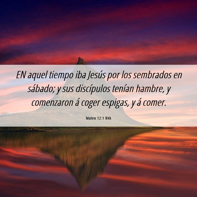 Picture 06 - Mateo 12:1 RVA - EN aquel tiempo iba Jesús por los sembrados en - Bible Verse Picture