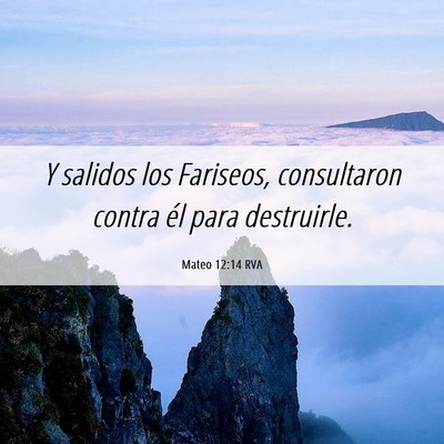 Picture 06 - Mateo 12:14 RVA - Y salidos los Fariseos, consultaron contra él - Bible Verse Picture