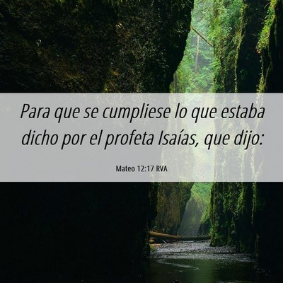 Picture 06 - Mateo 12:17 RVA - Para que se cumpliese lo que estaba dicho por el - Bible Verse Picture