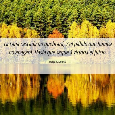 Picture 06 - Mateo 12:20 RVA - La caña cascada no quebrará, Y el pábilo que - Bible Verse Picture