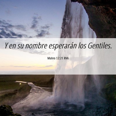 Picture 06 - Mateo 12:21 RVA - Y en su nombre esperarán los - Bible Verse Picture