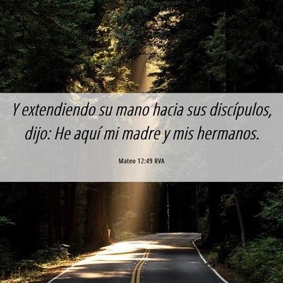 Picture 06 - Mateo 12:49 RVA - Y extendiendo su mano hacia sus discípulos, - Bible Verse Picture