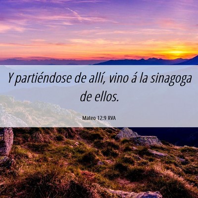 Picture 06 - Mateo 12:9 RVA - Y partiéndose de allí, vino á la sinagoga de - Bible Verse Picture