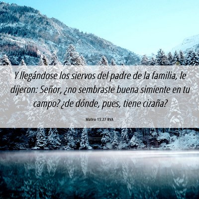 Picture 06 - Mateo 13:27 RVA - Y llegándose los siervos del padre de la - Bible Verse Picture