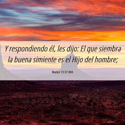 Picture 06 - Mateo 13:37 RVA - Y respondiendo él, les dijo: El que siembra la - Bible Verse Picture