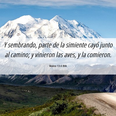 Picture 06 - Mateo 13:4 RVA - Y sembrando, parte de la simiente cayó junto al - Bible Verse Picture