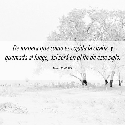 Picture 06 - Mateo 13:40 RVA - De manera que como es cogida la cizaña, y - Bible Verse Picture