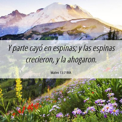 Picture 06 - Mateo 13:7 RVA - Y parte cayó en espinas; y las espinas - Bible Verse Picture